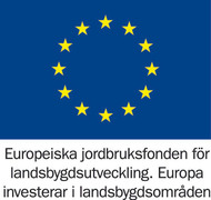 Logotyp EU jordbruksfond för landsbygsutveckling 