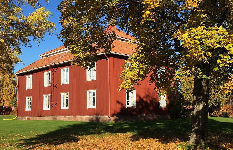 Rött tvåvåningshus i solljus med träd i förgrunden och gula löv på marken.