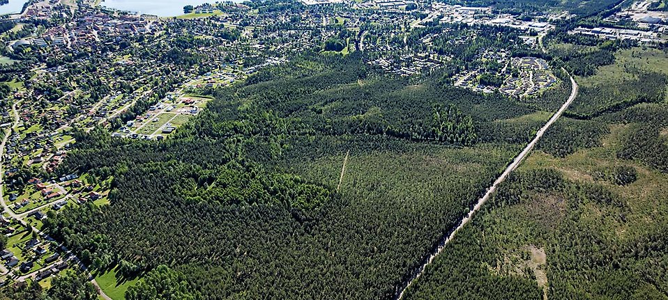 Flygbild över skogsområde i utkanten av tätort