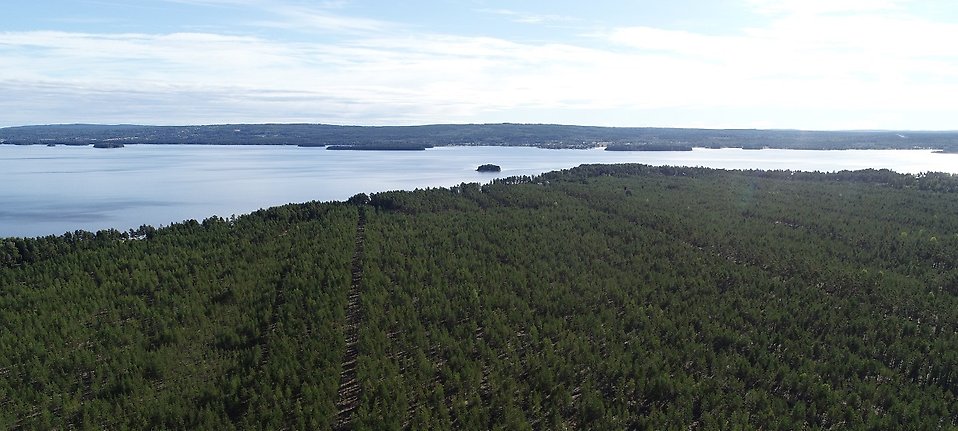 Drönarbild över Norra Kråkberg med Orsasjön i bakgrunden.