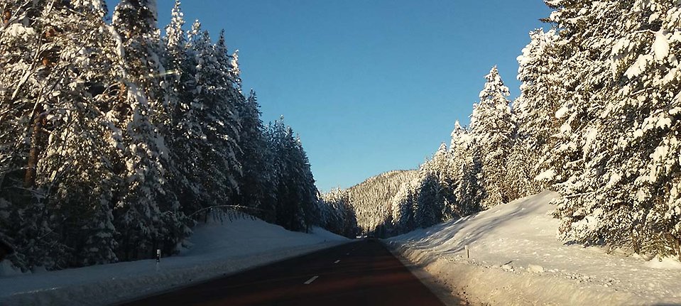 Bild på bilväg i vinterlandskap.