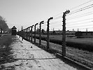 Förintelselägret Auschwitz-Birkenau.